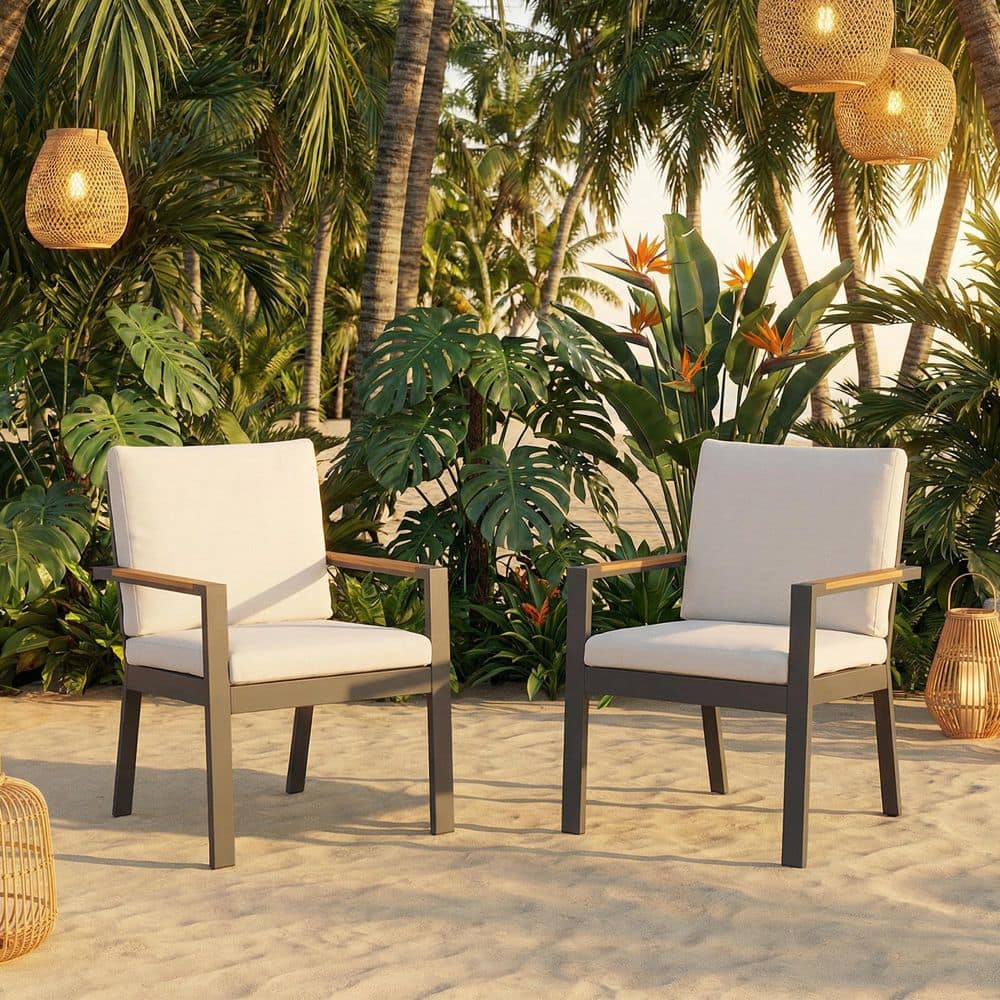 2-Piece Outdoor Dining Chair Set with Wood Accents & White Cushions, Black Frame price history on PriceWatchPro
