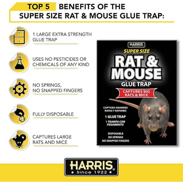 Catchmaster Heavy Duty Rat, Mouse, and Snake Glue Trap - 2pk