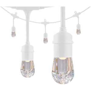 24 Bulb 48 ft. Outdoor/Indoor White Vintage LED String Lights, Acrylic Edison Bulbs