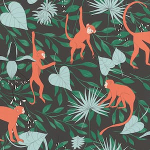 Langur Black Monkey Troop Wallpaper Sample