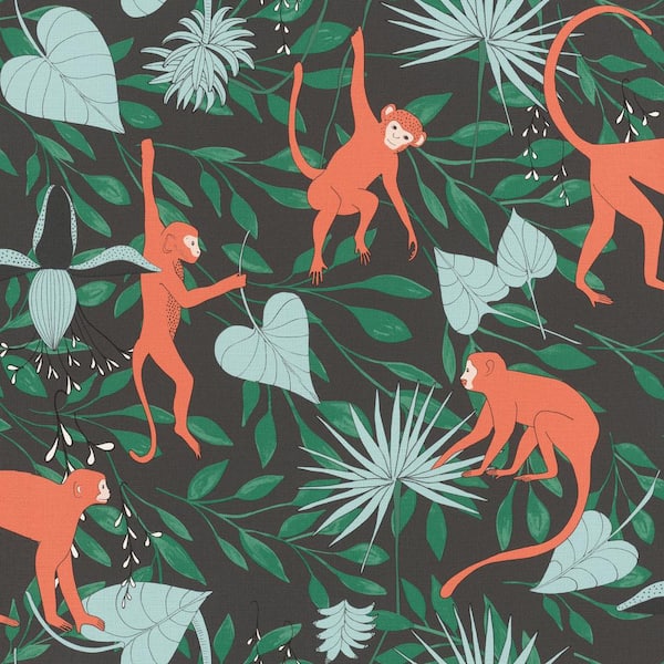 rasch Langur Black Monkey Troop Wallpaper Sample