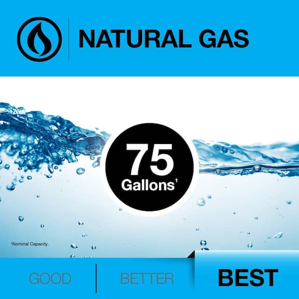 Performance Platinum 75 Gal. Tall 76,000 BTU Natural Gas Water Heater with 12-Year Warranty