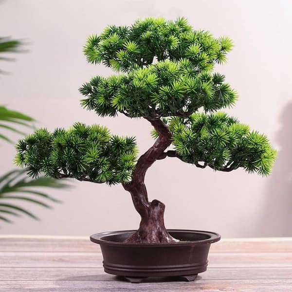 11 in. Artificial Bonsai Pine Tree L08BJV75PY - The Home Depot