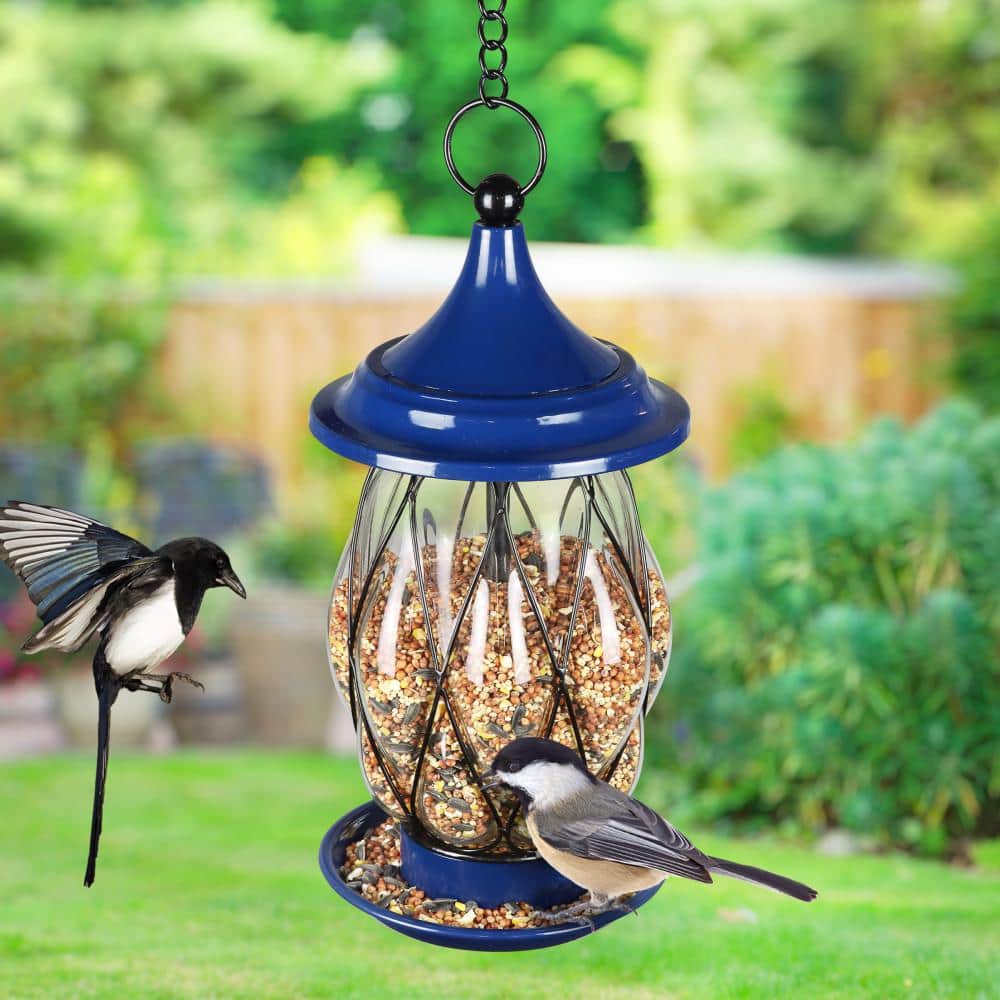 Blue Metal and Glass Hanging Bird Feeder with Wire Cage