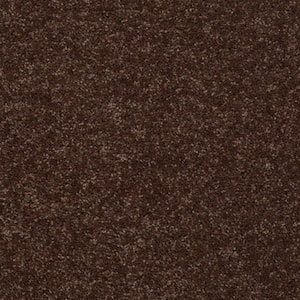 Palmdale I - Tunisia Sand - Orange 17.6 oz. Polyester Texture Installed Carpet