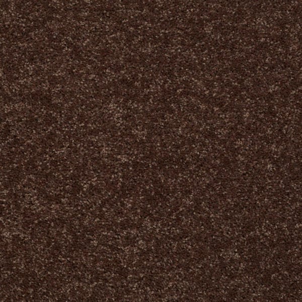 TrafficMaster Palmdale I - Tunisia Sand - Orange 17.6 oz. Polyester Texture Installed Carpet