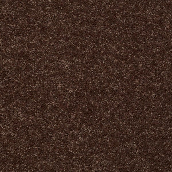 Palmdale I - Tunisia Sand - Orange 15 ft. 17.6 oz. Polyester Texture Installed Carpet