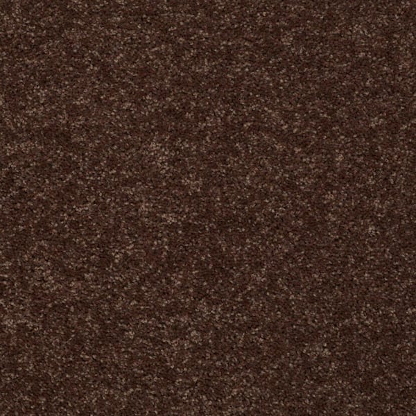 TrafficMaster Palmdale II - Tunisia Sand - Orange 31.2 oz. Polyester Texture Installed Carpet