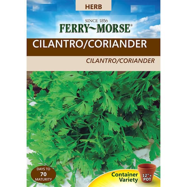 Ferry-Morse Cilantro/Coriander Seed