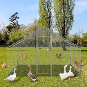 120 in. x 156 in. x 79 in. Walk-In Chicken Coop Waterproof Chicken Cage