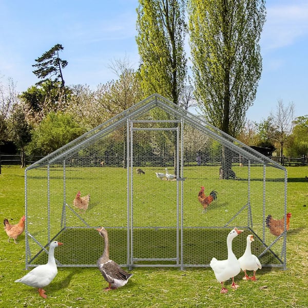 120 in. x 156 in. x 79 in. Walk-In Chicken Coop Waterproof Chicken Cage