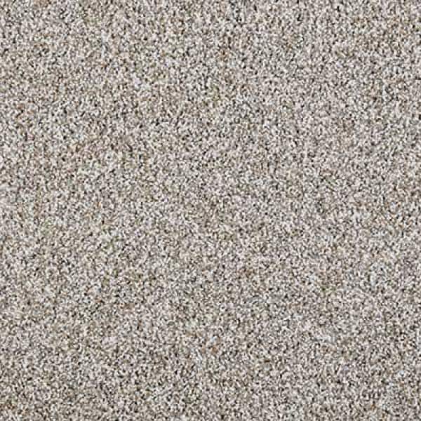 Lifeproof with Petproof Technology Barx II - Neutral - Beige 56 oz. Triexta  Texture Installed Carpet 0778D-26-12 - The Home Depot