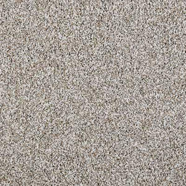 https://images.thdstatic.com/productImages/a787071a-0333-47c2-ae45-52fc4c35f570/svn/white-wash-lifeproof-with-petproof-technology-texture-carpet-0778d-21-12-31_600.jpg