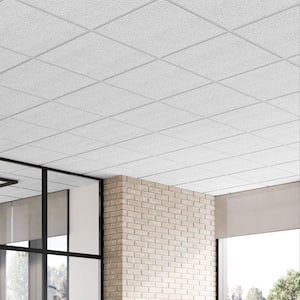 2 ft. x 2 ft. Alpine White Shadowline Tapered Edge Lay-In Ceiling Tile, case of 16 (64 sq. ft.)