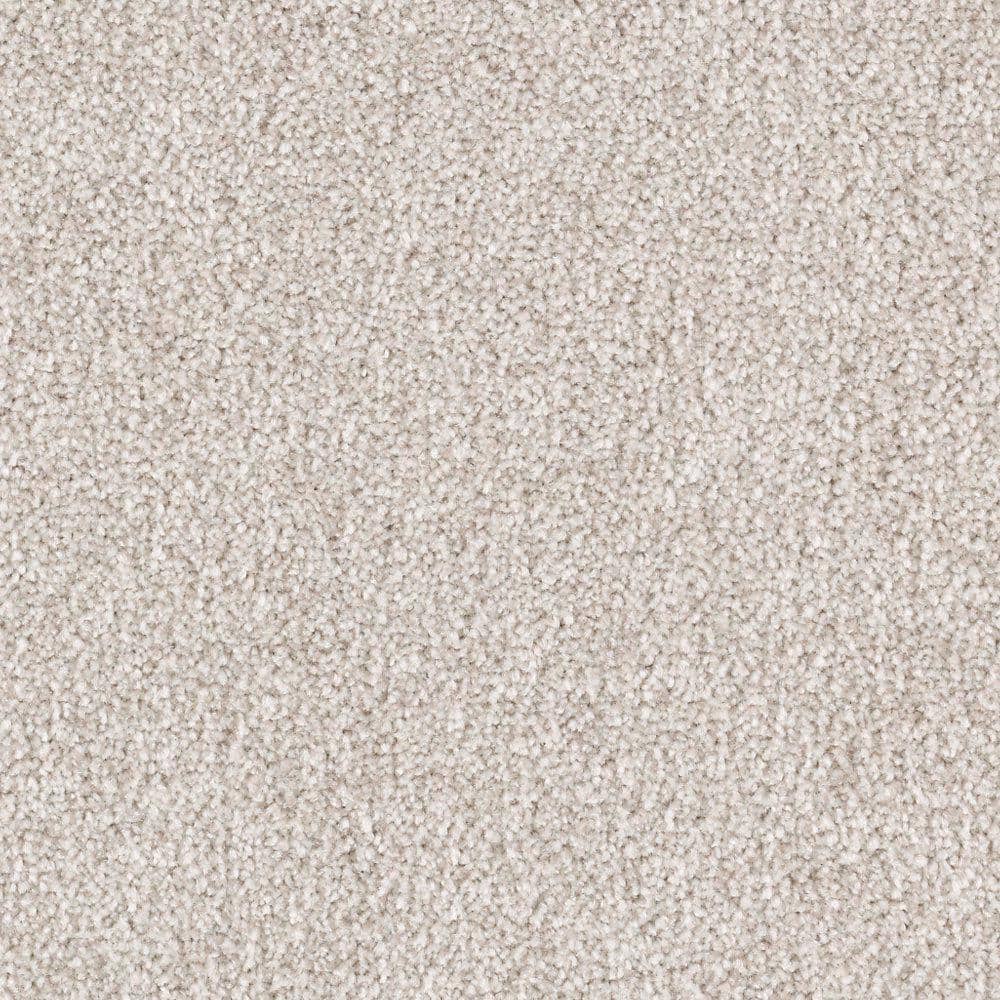 8 in. x 8 in. Texture Carpet Sample - Silver Mane I -Color Doric Cream price history on PriceWatchPro