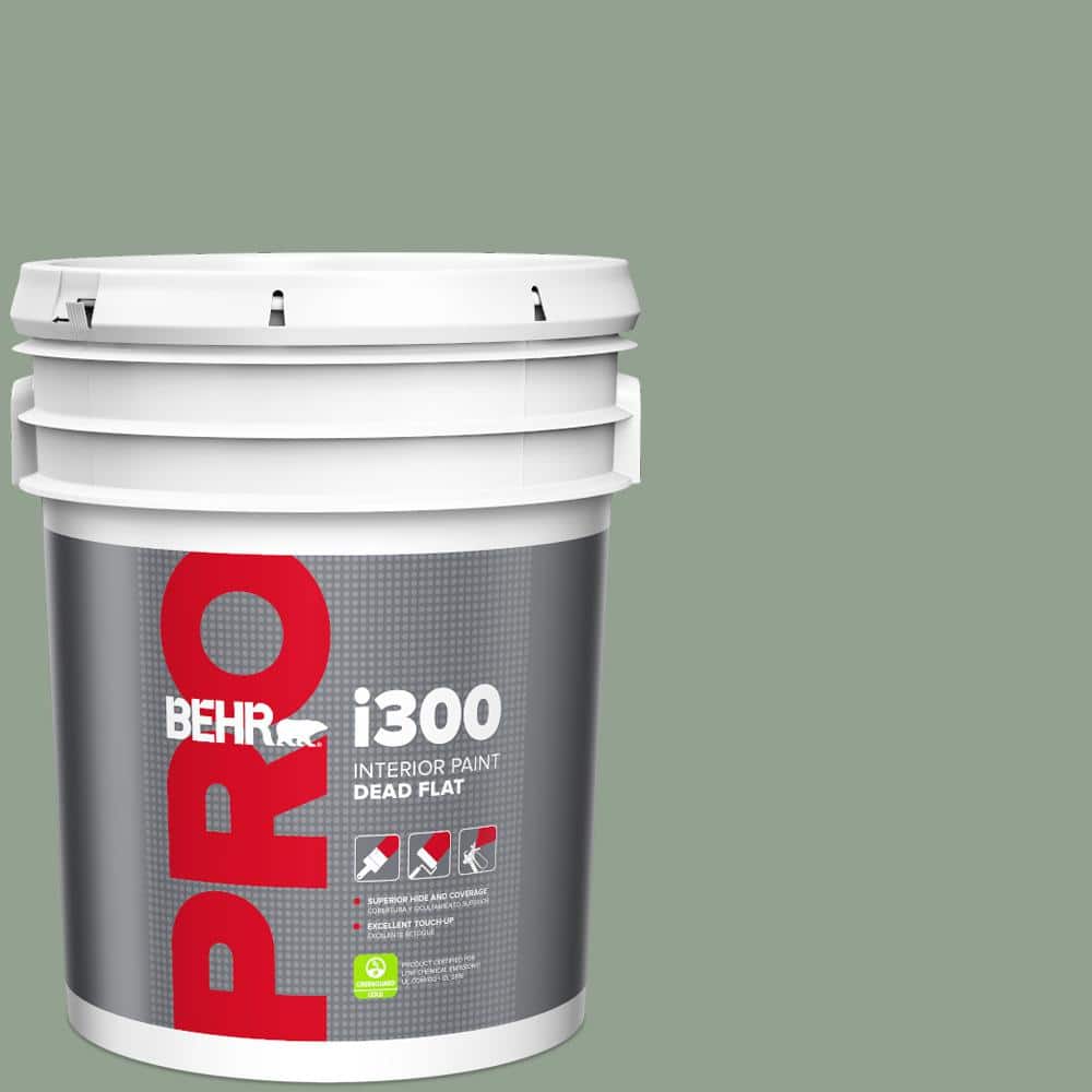 5 gal. #N400-4 Forest Path Dead Flat Interior Paint price history on PriceWatchPro