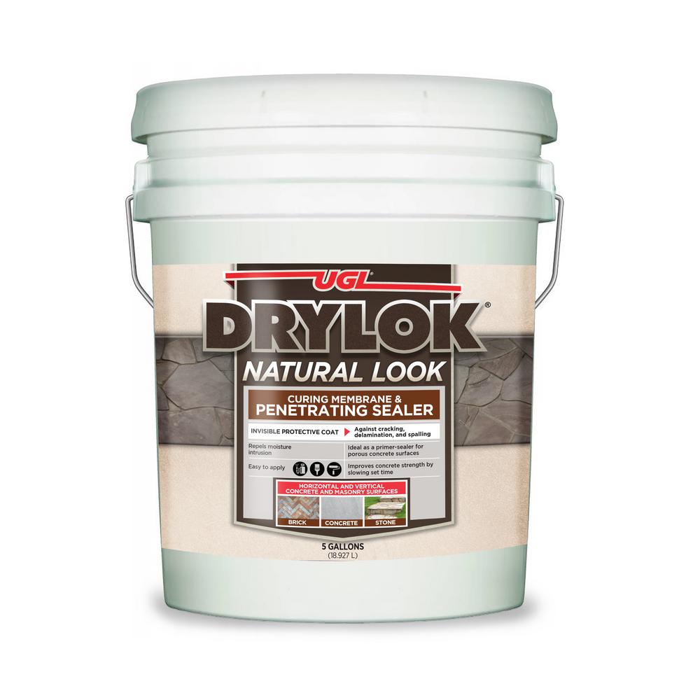 Drylok Clear Paint The Home Depot