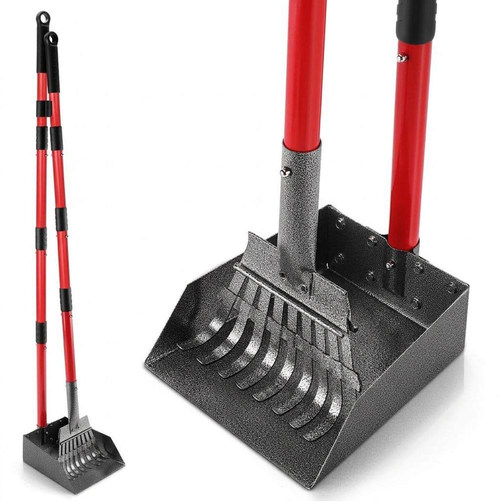 Detachable Metal Rake and Tray Set Pooper Scooper for Dogs, Sturdy Stainless Steel for Yard, Grass, Dirt price history on PriceWatchPro