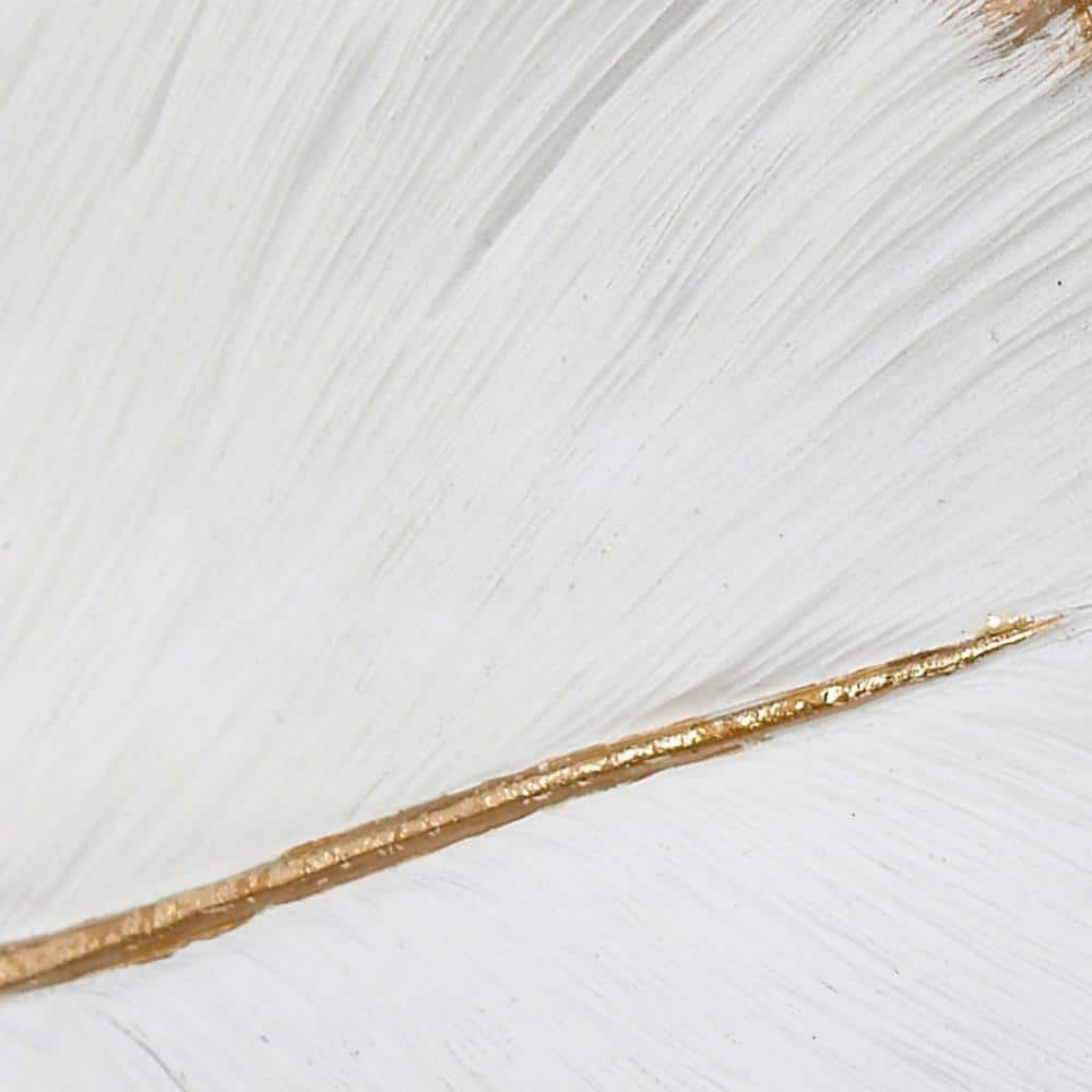 White and Gold Polystone Feather Wall Art Sculpture