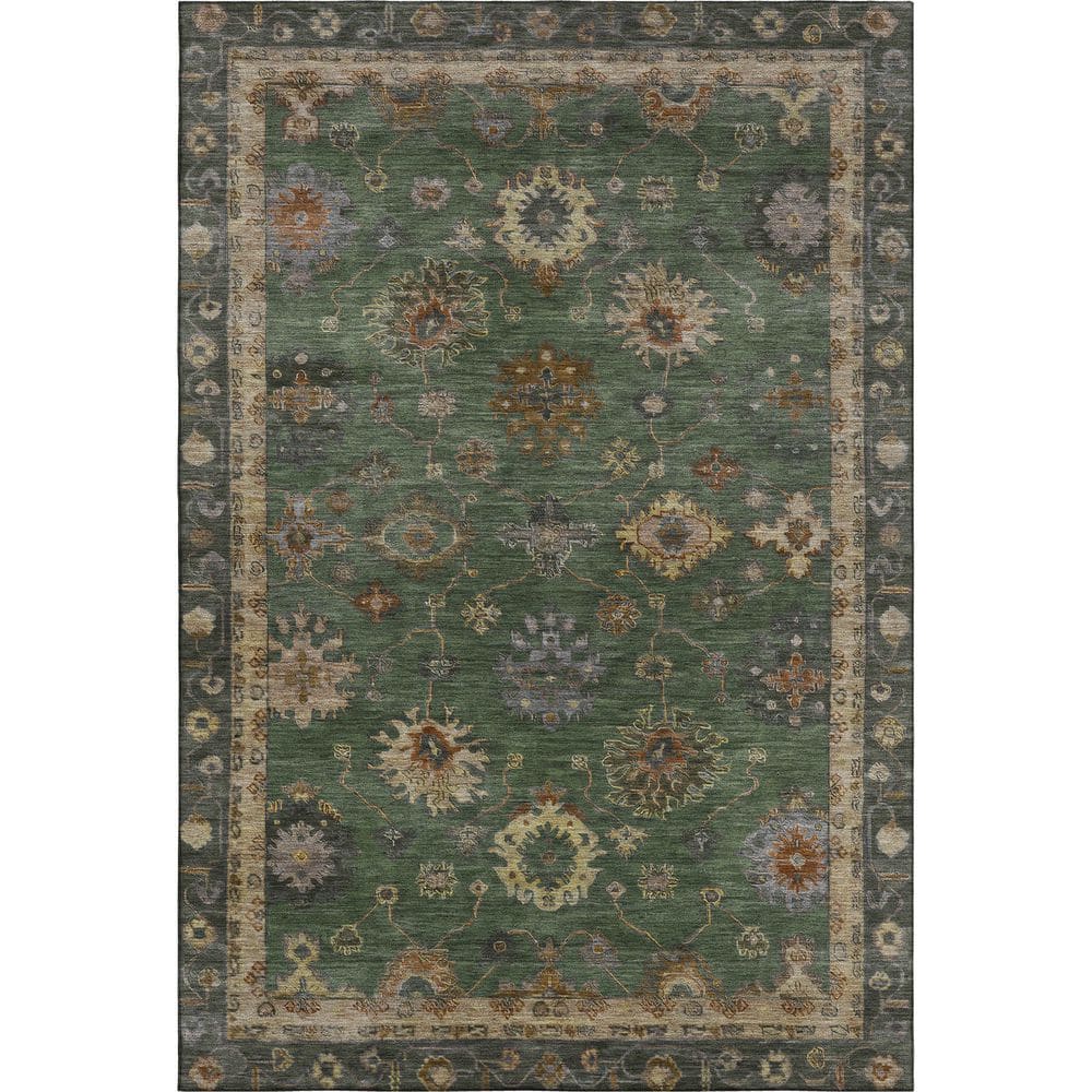 Mayfield Premium Machine Washable Abstract AMF2045 Fern 8 ft. x 10 ft. Area Rug price history on PriceWatchPro