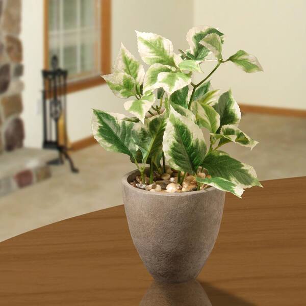 National Tree Company 11.8 in. Artificial Balm Plant in Pot
