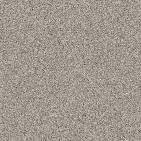 Home Decorators Collection Trendy Threads Plus I - Durango - White 40 oz. SD Polyester Texture Installed Carpet