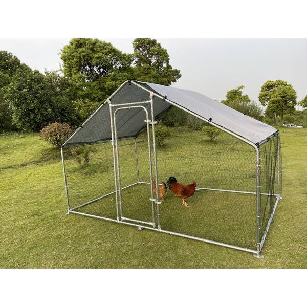 Tidoin D x W x H Metal In-Ground Chicken