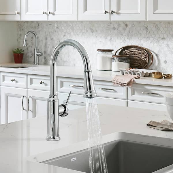 Blanco EMPRESSA Single-Handle Pull-Down Sprayer Kitchen Faucet in