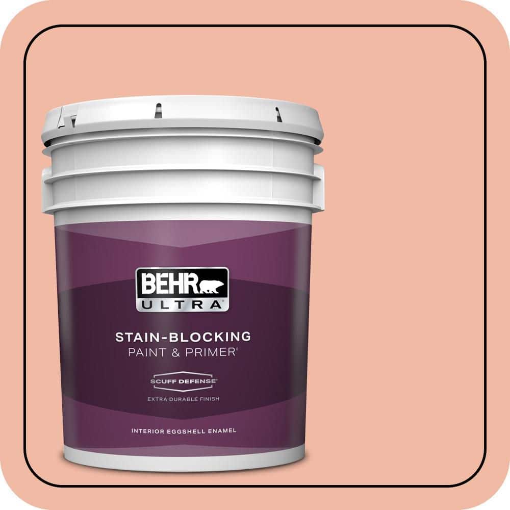 5 gal. #220C-3 Antique Cameo Extra Durable Eggshell Enamel Interior Paint & Primer price history on PriceWatchPro