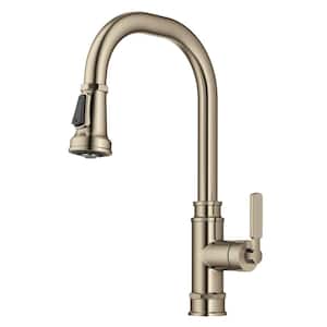 Allyn Transitional Industrial Pull-Down Single Handle Kitchen Faucet in Spot-Free Antique Champagne Bronze
