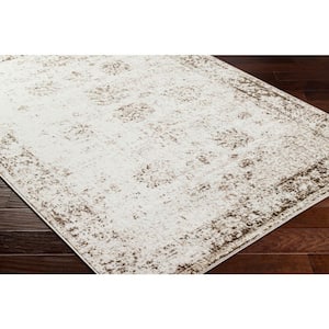 Monte Carlo Light Brown/Ivory Ombre 5 ft. x 7 ft. Indoor Area Rug