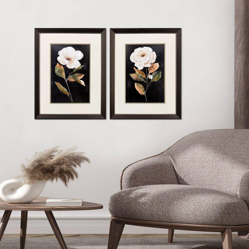 Finn 2 Piece Framed Giclee Nature Art Print 27 in. x 21 in. price history on PriceWatchPro