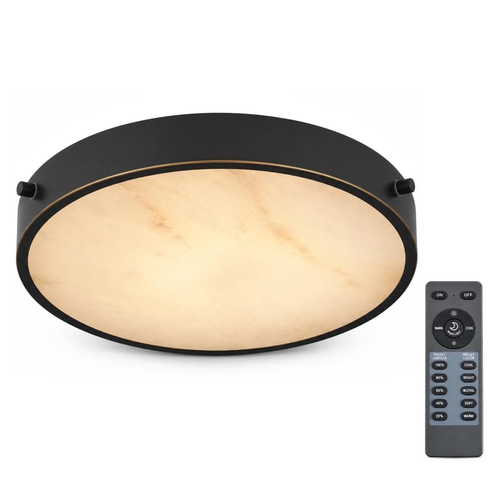 12 in. Dimmable Integrated LED Alabaster Black Round Flush Mount, for Bedroom, Living Room, Dining Room, Foyer price history on PriceWatchPro