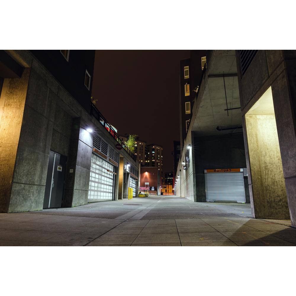 Bronze Matte Outdoor LED Emergency Wall Light