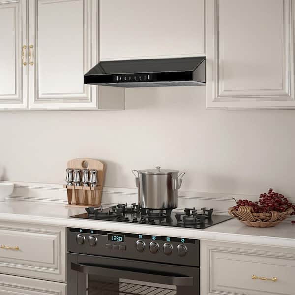 30 in. 900 CFM Ducted Under Cabinet Range Hood in Stainless Steel and Black Glass with Baffle Filters and LED Lights