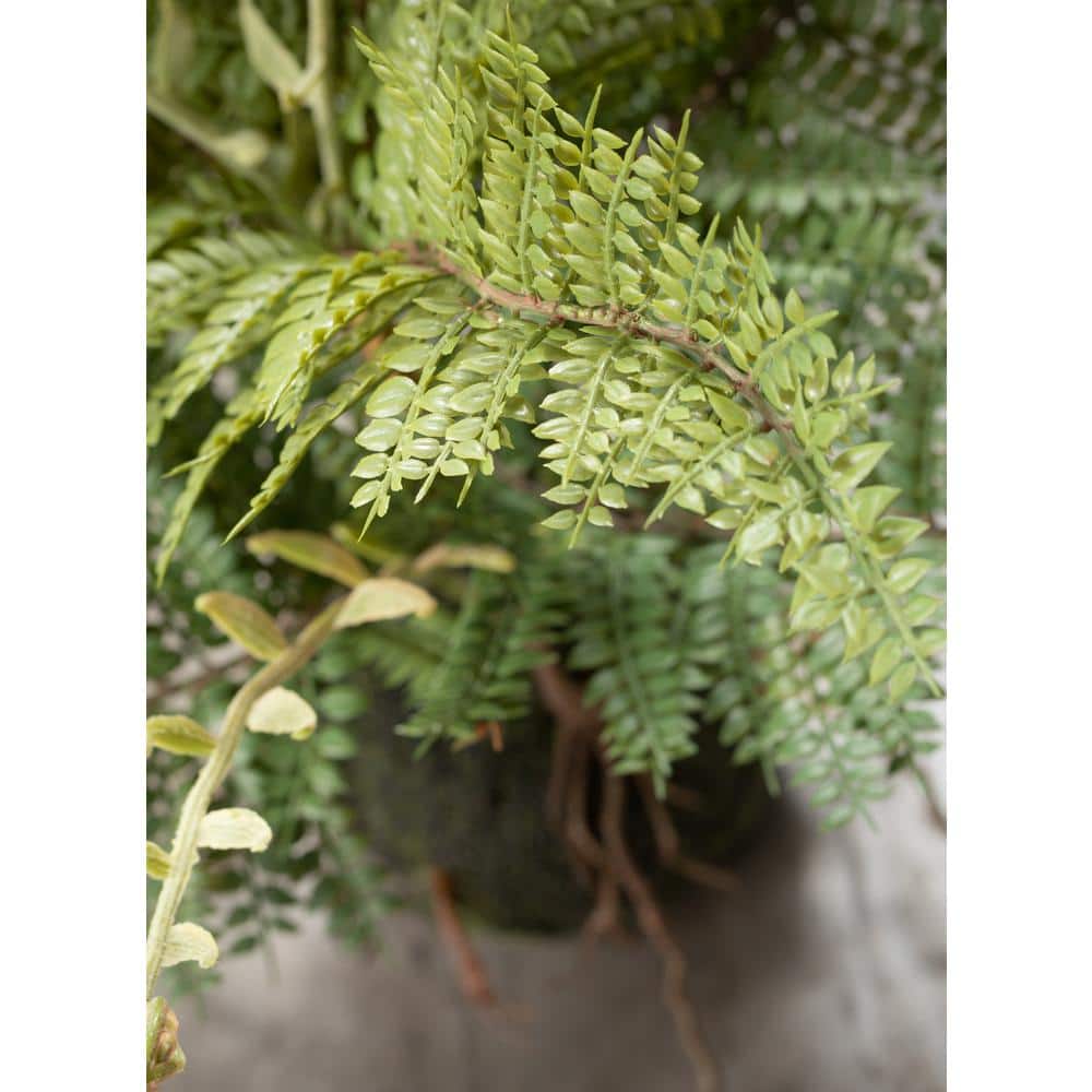 Green Plastic Artificial Fern in Moss Ball Tabletop Decor