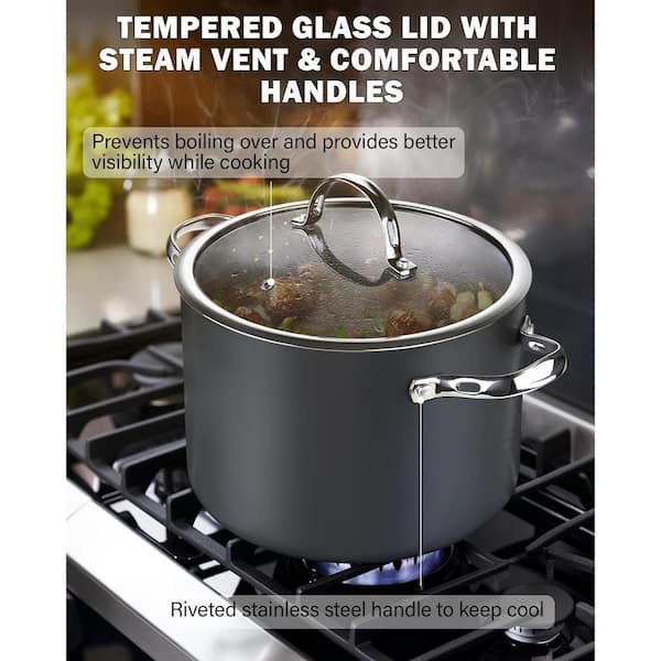 Marmite En Aluminium Anodisé Dur Antiadhésif 10,5 QT Avec Couvercle En Verre (Neuf)