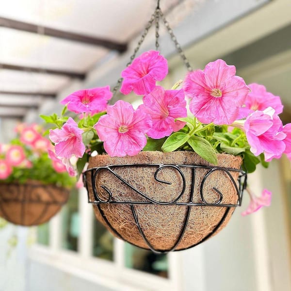 Unbranded 12 in. Hanging Baskets with Coco Liner, Black Metal Wire Flower  Basket Pots with Hook Hanger, 2-Pack DAY82LX