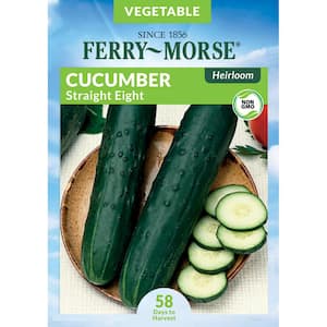 Cucumber Straight Eight Heirloom Fruit Seed