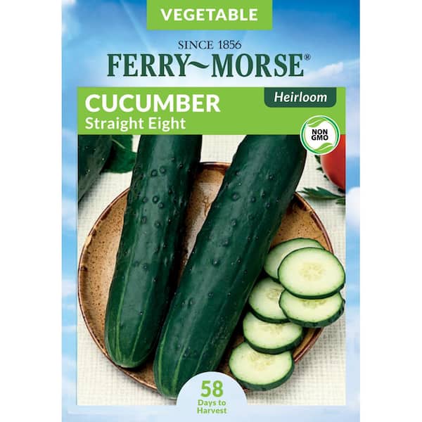 Ferry-Morse Cucumber Straight Eight Heirloom Fruit Seed