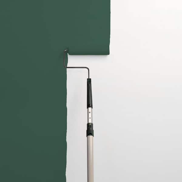 Black Spruce PPG1137-7 Paint