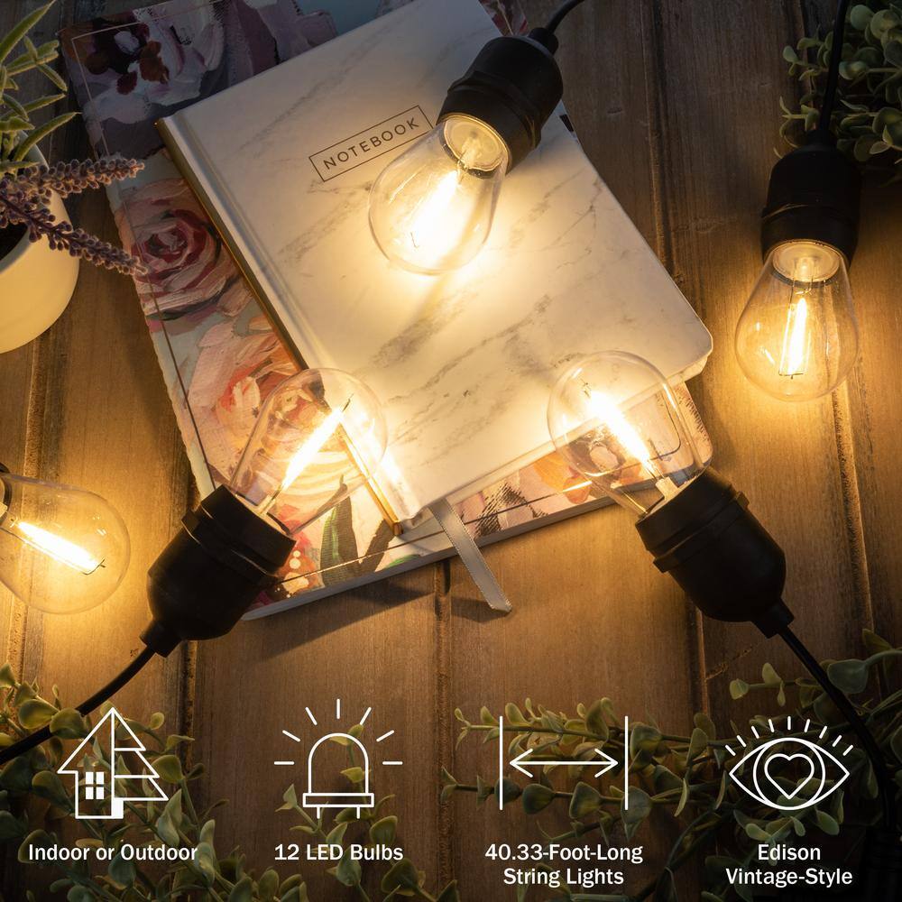 Warm White 40ft Outdoor LED Edison Bulb String Lights