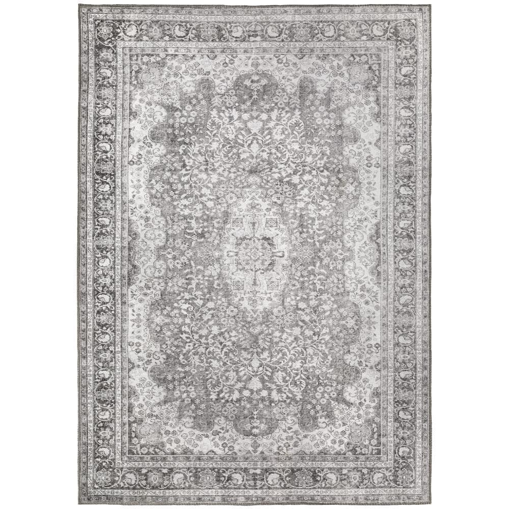 Savannah Grey/Grey 8 ft. x 10 ft. Distressed Border Area Rug