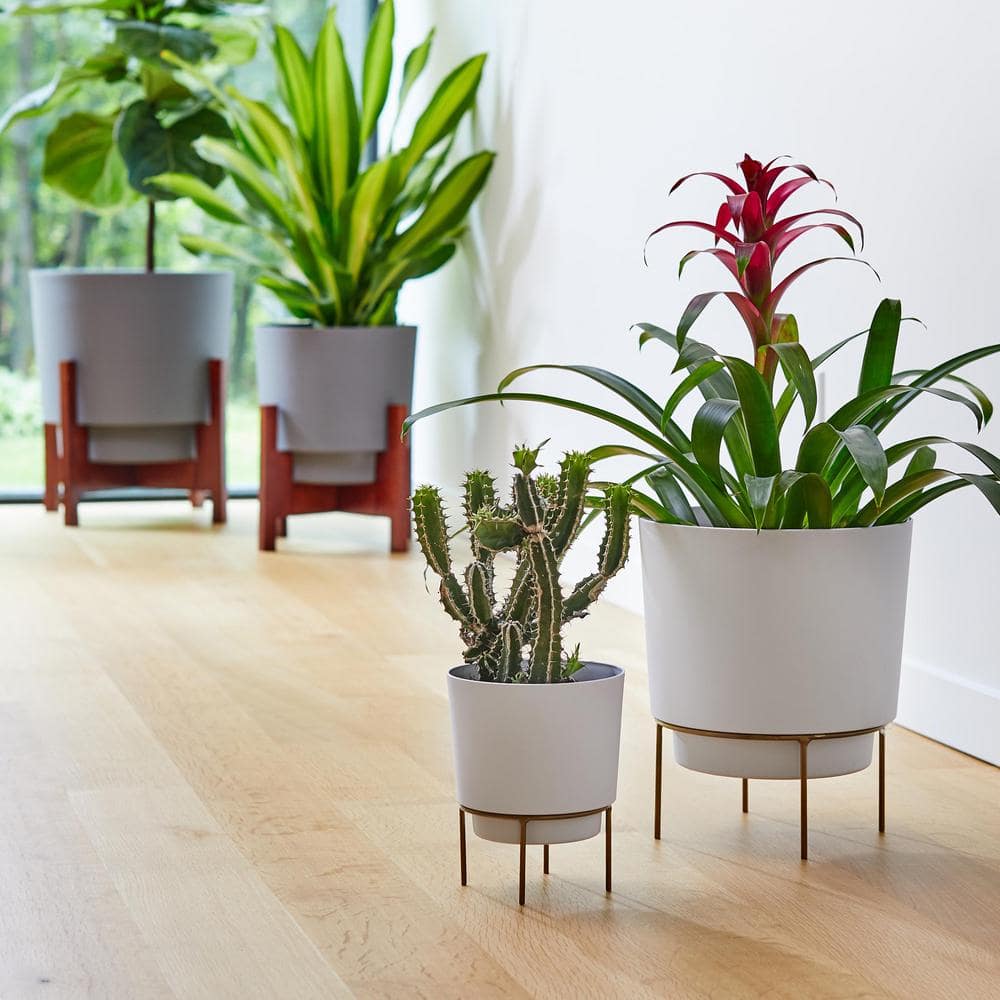 Bloem 10" White Resin Planter with Gold Metal Stand