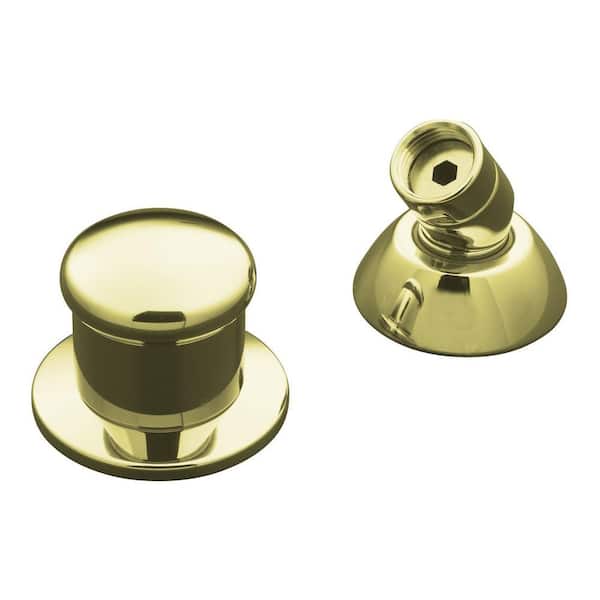 KOHLER Two-Way Diverter Valve and Handshower Hose Guide in Vibrant French Gold