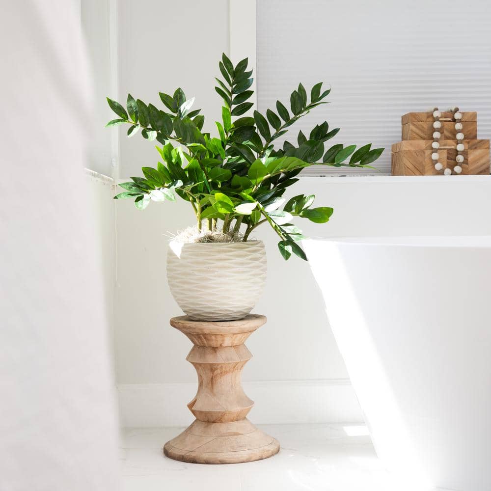 Lush Green Artificial Zamioculcas Plant in Black Pot