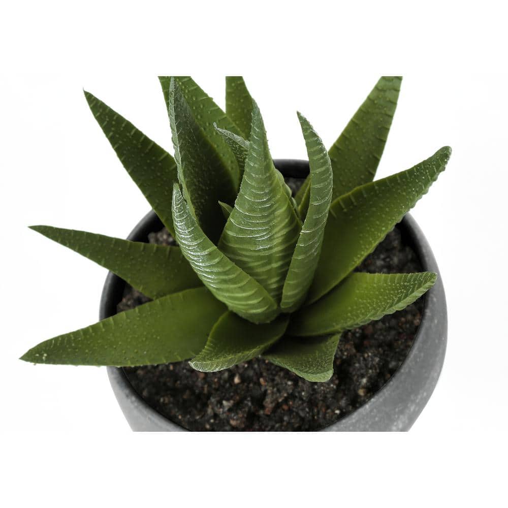 Set of 3 Green Faux Succulent Plants in Gray Pots