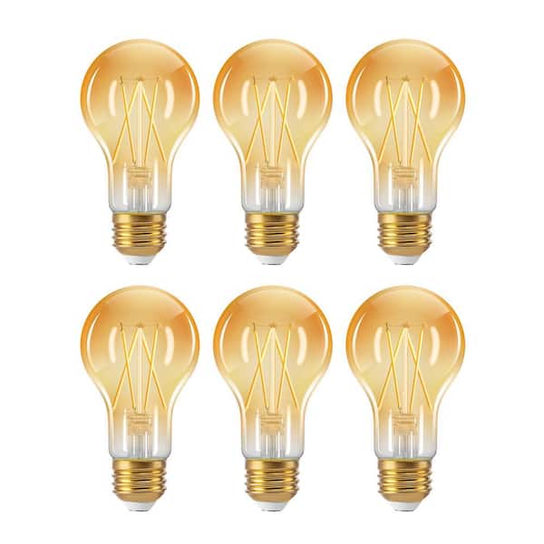60-Watt Equivalent A19 Dimmable 10% to 100% Edison LED Light Bulb 2200K Amber Light (6-Pack)