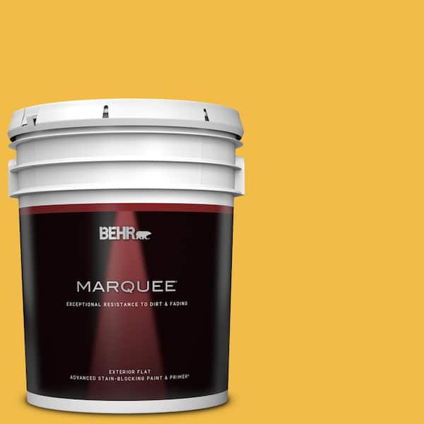 BEHR MARQUEE 5 gal. #P280-6 Bling Bling Flat Exterior Paint & Primer