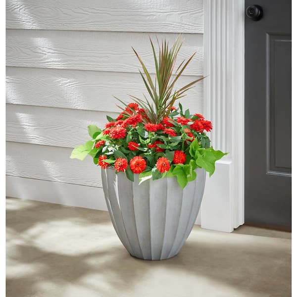 Vigoro Mavis Large Gray Scalloped Plastic Planter (16 in. L x 16 in. W x 14  in. H) SP16LGWH